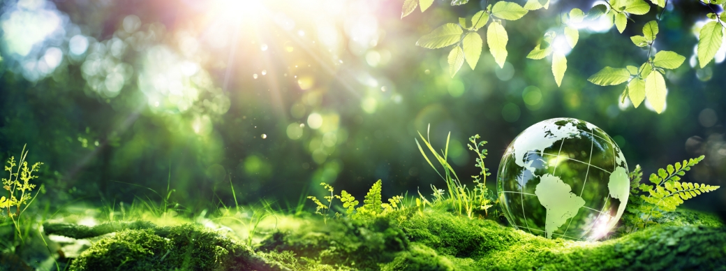 サステナビリティ